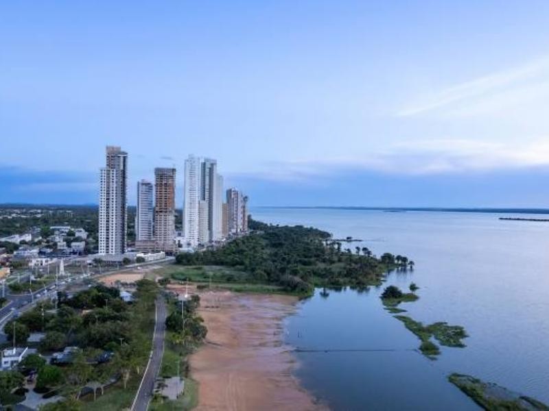 Palmas